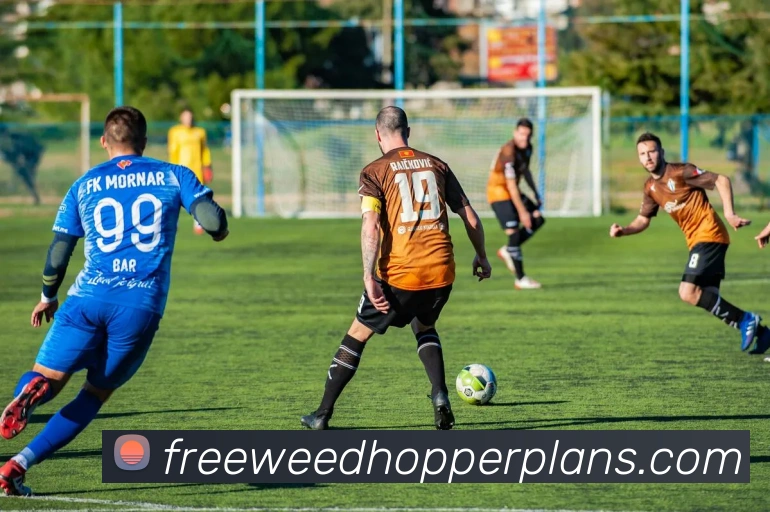 奖项2