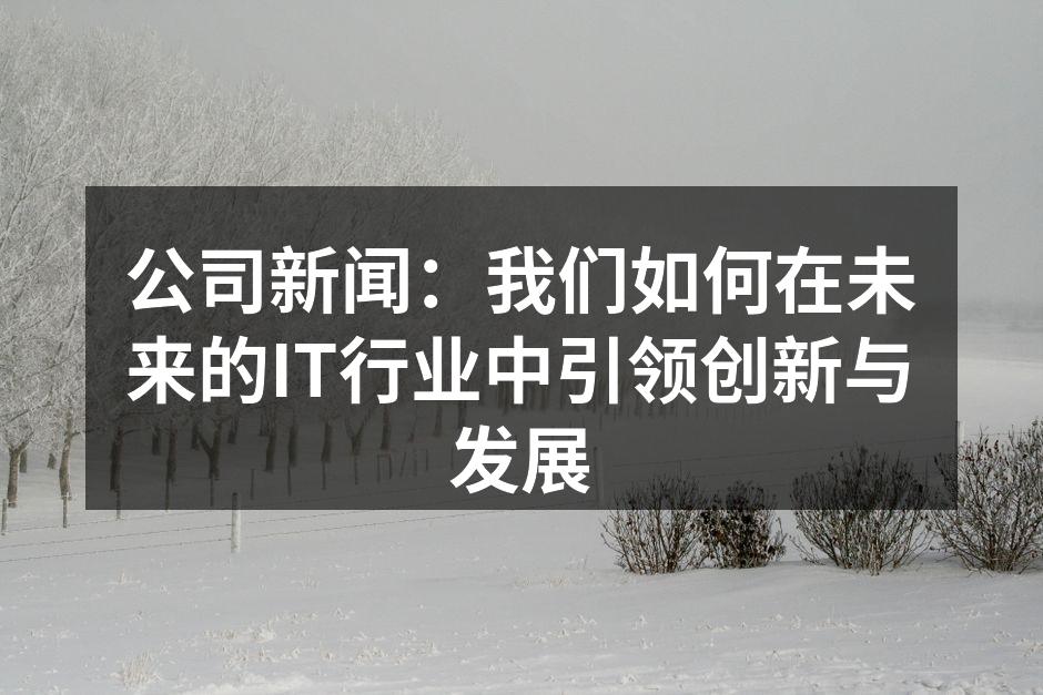 公司新闻：我们如何在未来的IT行业中引领